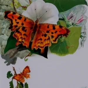 Vlinder