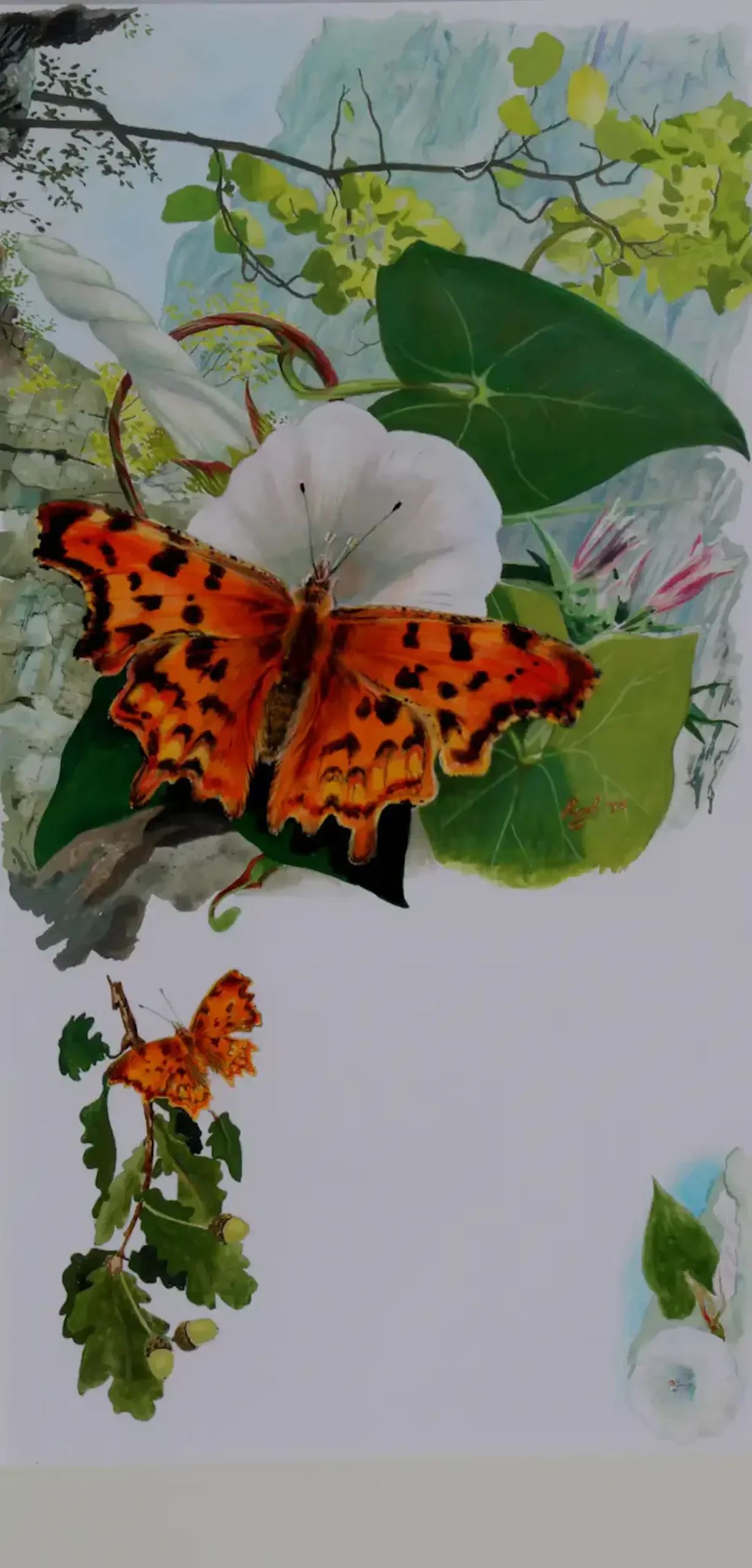 Vlinder
