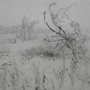 Meertje met bomen
