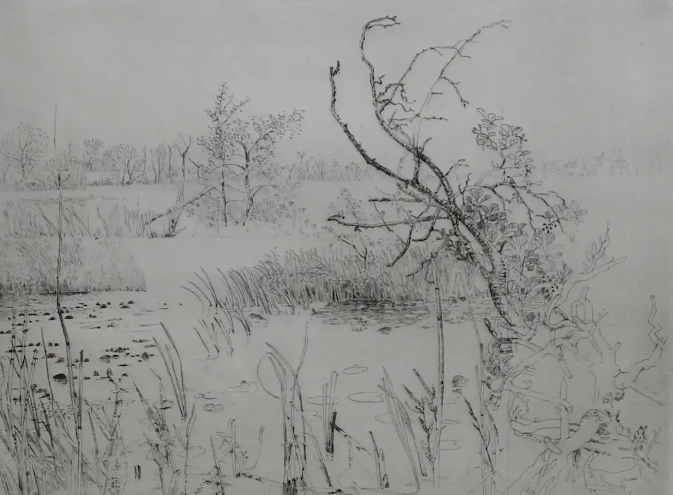 Meertje met bomen
