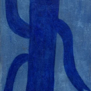 Blauwfond