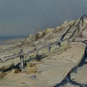 Duinlandschap