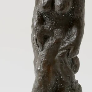 Vogelvrouw