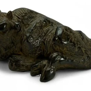 Een liggende wisent